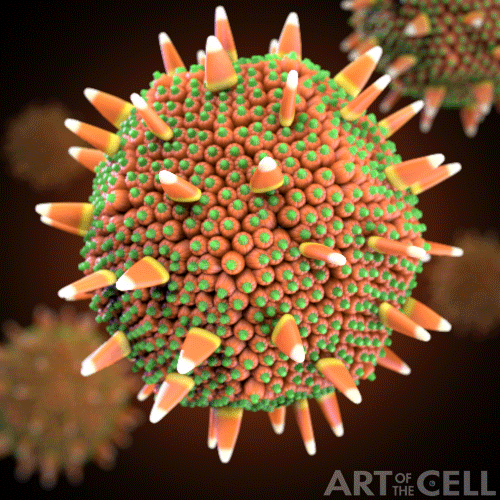 THE LORD SAID, A NEW VIRUS IS HEADED YOUR WAY!