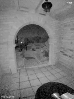 A SILENCE OF THE LAMB! I’M GOING TO ROTATE MY VIDEO *SEE LOOP OF KIDNAPPER RELEASED*! A CORNEA TRANSPLANT! (OH MY GOD! YOU STUPED)!!!!!